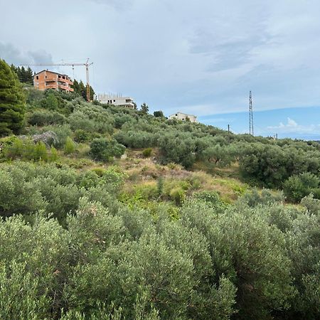 Apartment Mileta Makarska Kültér fotó